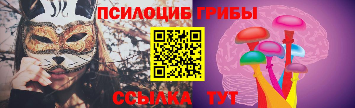 Когалым  Галлюциногенные грибы Cubensis  магазин продажи   Вход с VPN  Галлюциногенные грибы Cubensis 