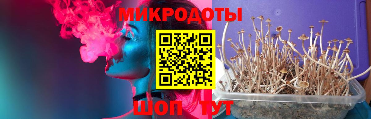 Псилоцибиновые грибы мицелий Когалым